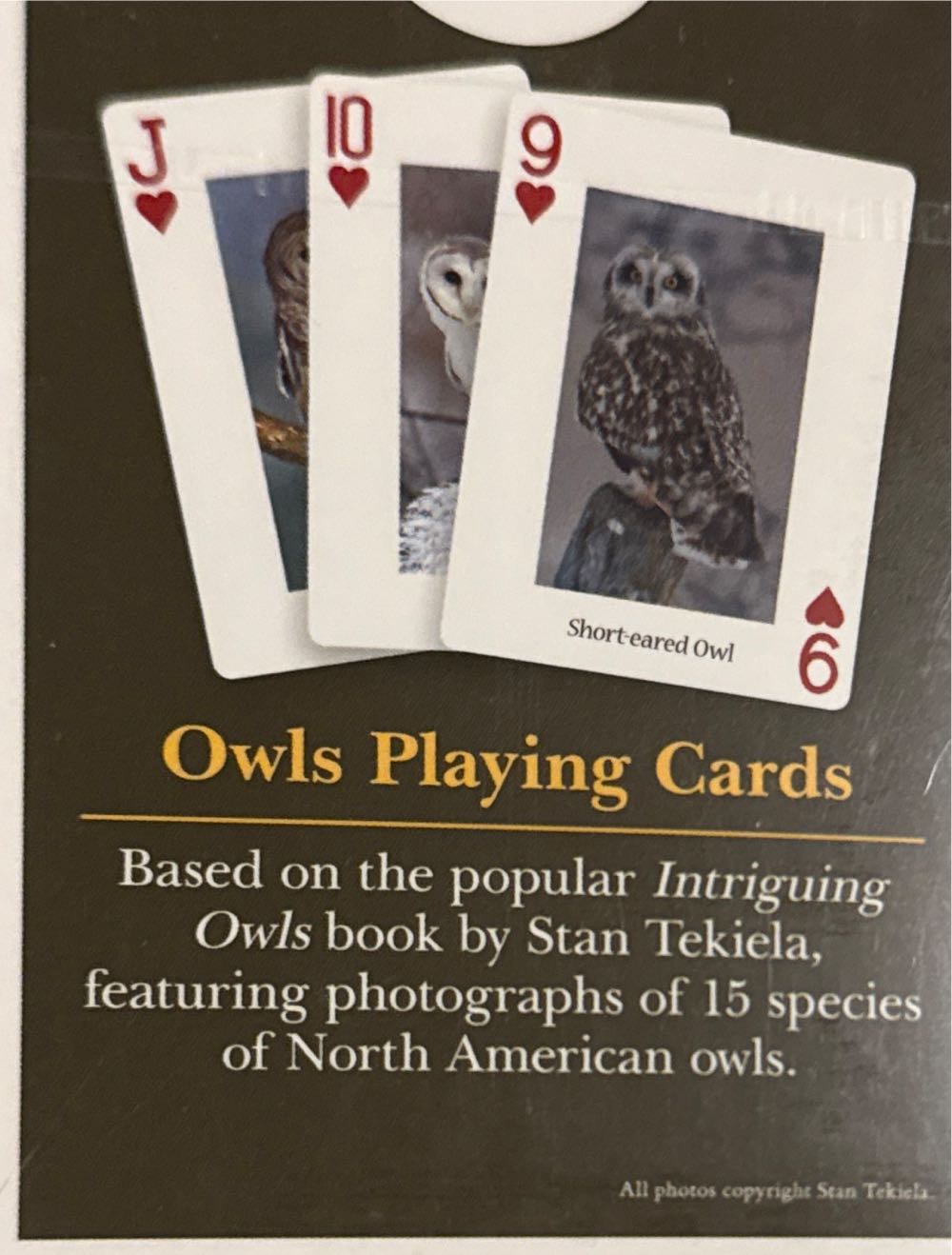 Playing Cards: Owls  board game collectible [Barcode 9781591939344] - Main Image 2