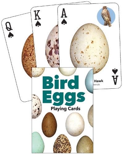 Exit: The Game Prison Break