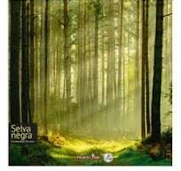 Wood Game House With 10 Games