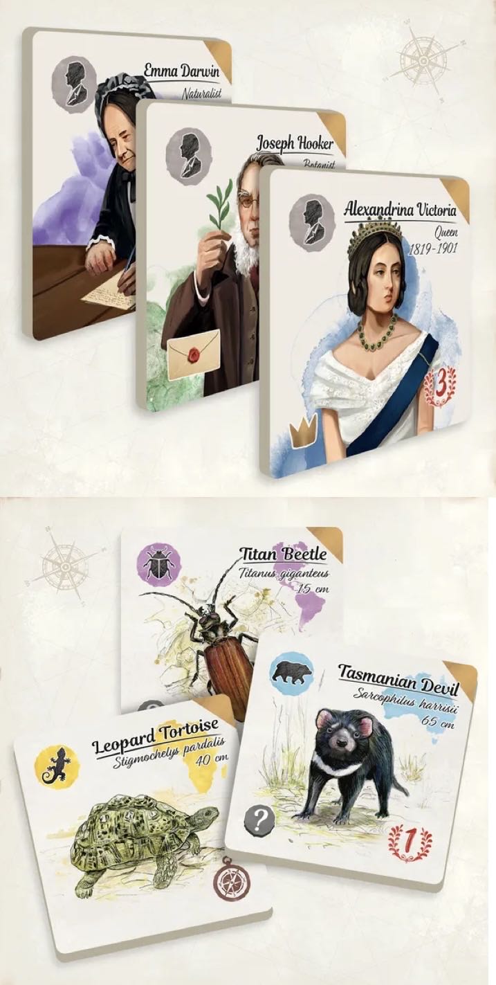 In the Footsteps of Darwin: Correspondence  (2 3 4 5) board game collectible [Barcode 3616450009806] - Main Image 4