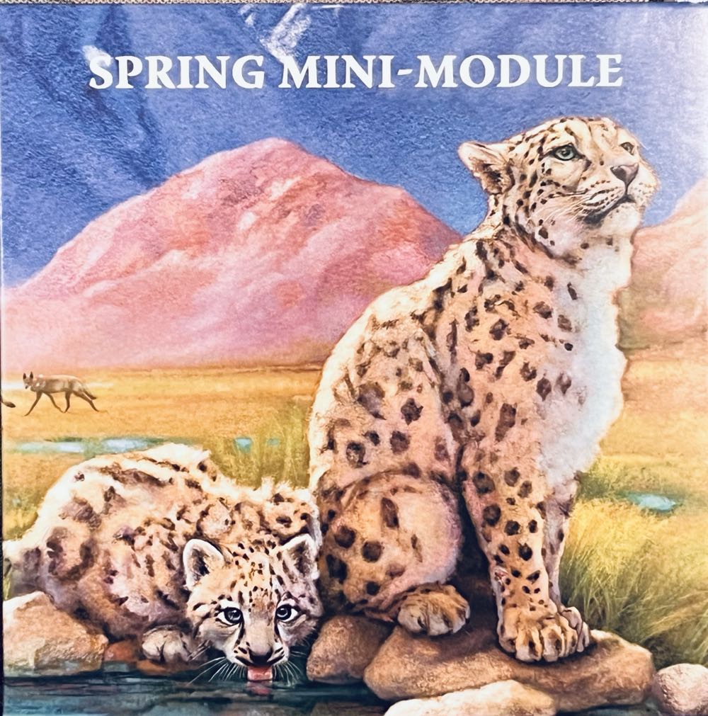 Storm Raiders: Deluxe Edition Arkus Games