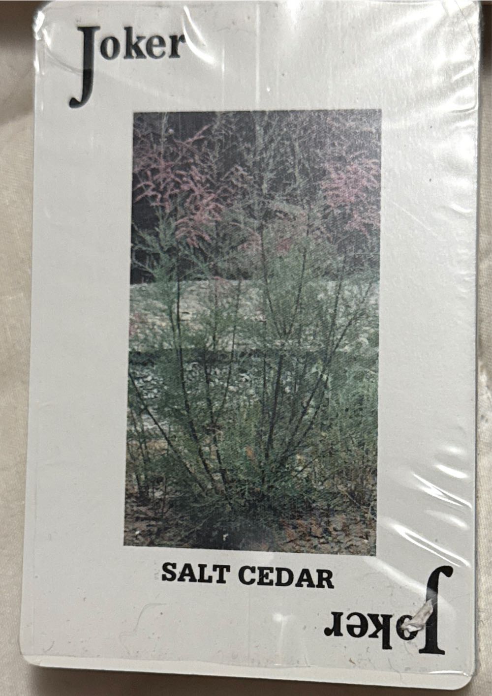 Weed Control  ND Agriculture  board game collectible - Main Image 2