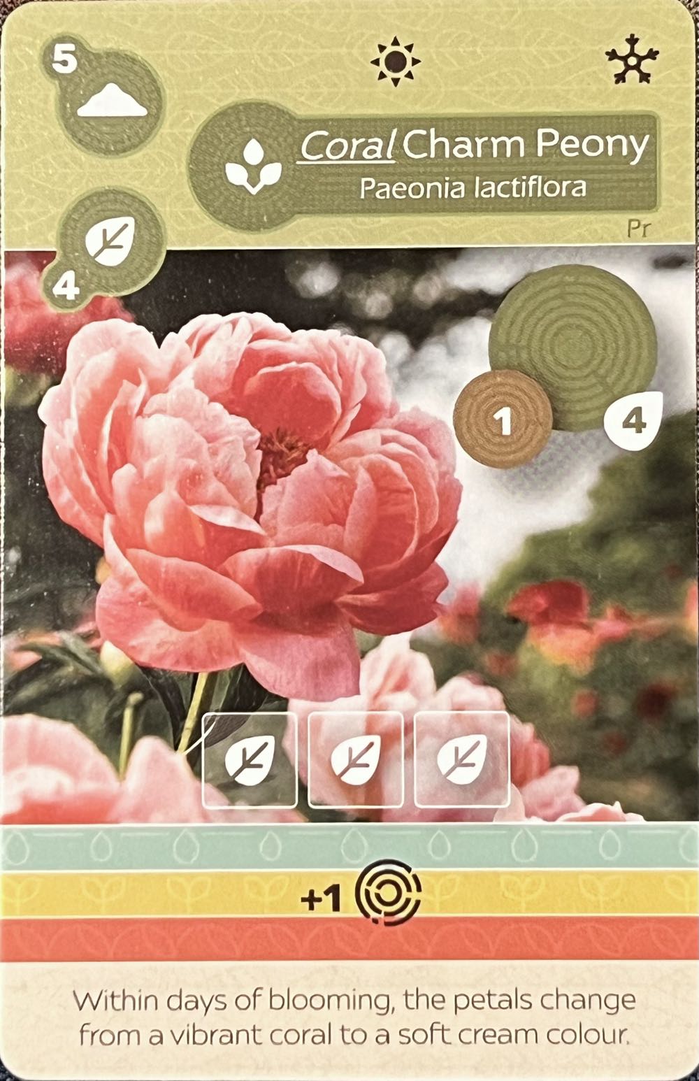 Harry Potter And The Order Of The Phoenix Playstation 2 Ps2 Complete Manual &