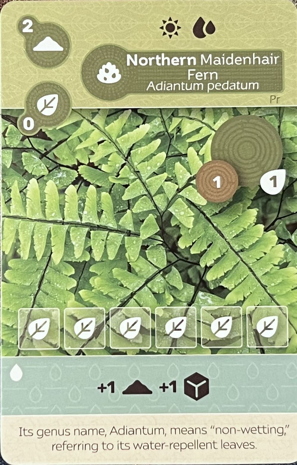 Stadtgespräch Gesellschaftsspiel. Das Unglaubliche Spiel Für Menschenker