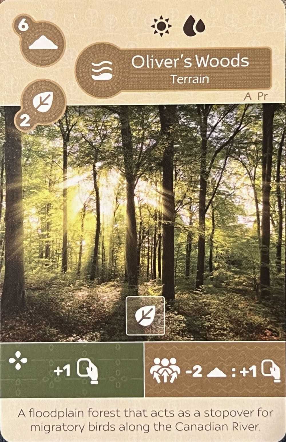 Twinkle Twinkle 2025 Standees