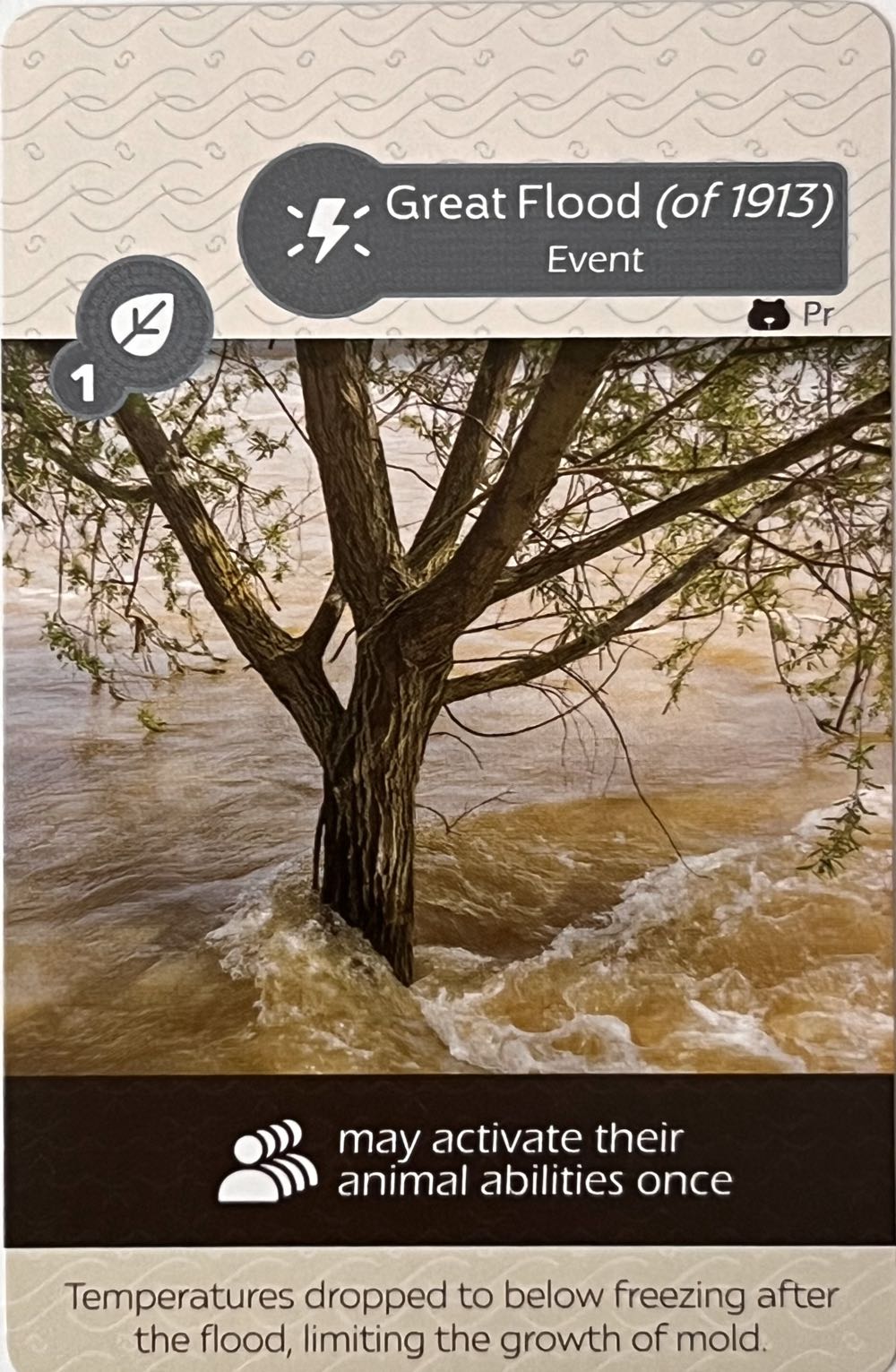 Monopoly Shrek Edition Board Game