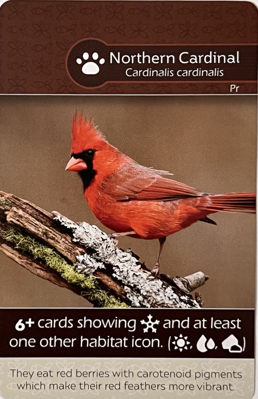 Star Wars - Angriff Der Rebellen