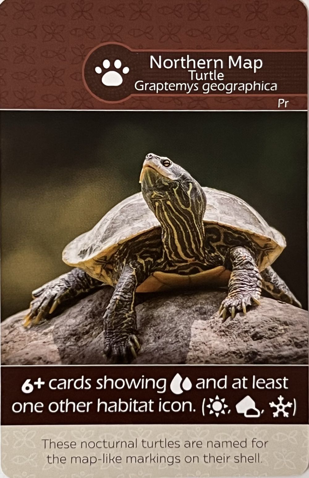 Earth: Northern Cardinal / Northern Map Turtle  board game collectible - Main Image 2