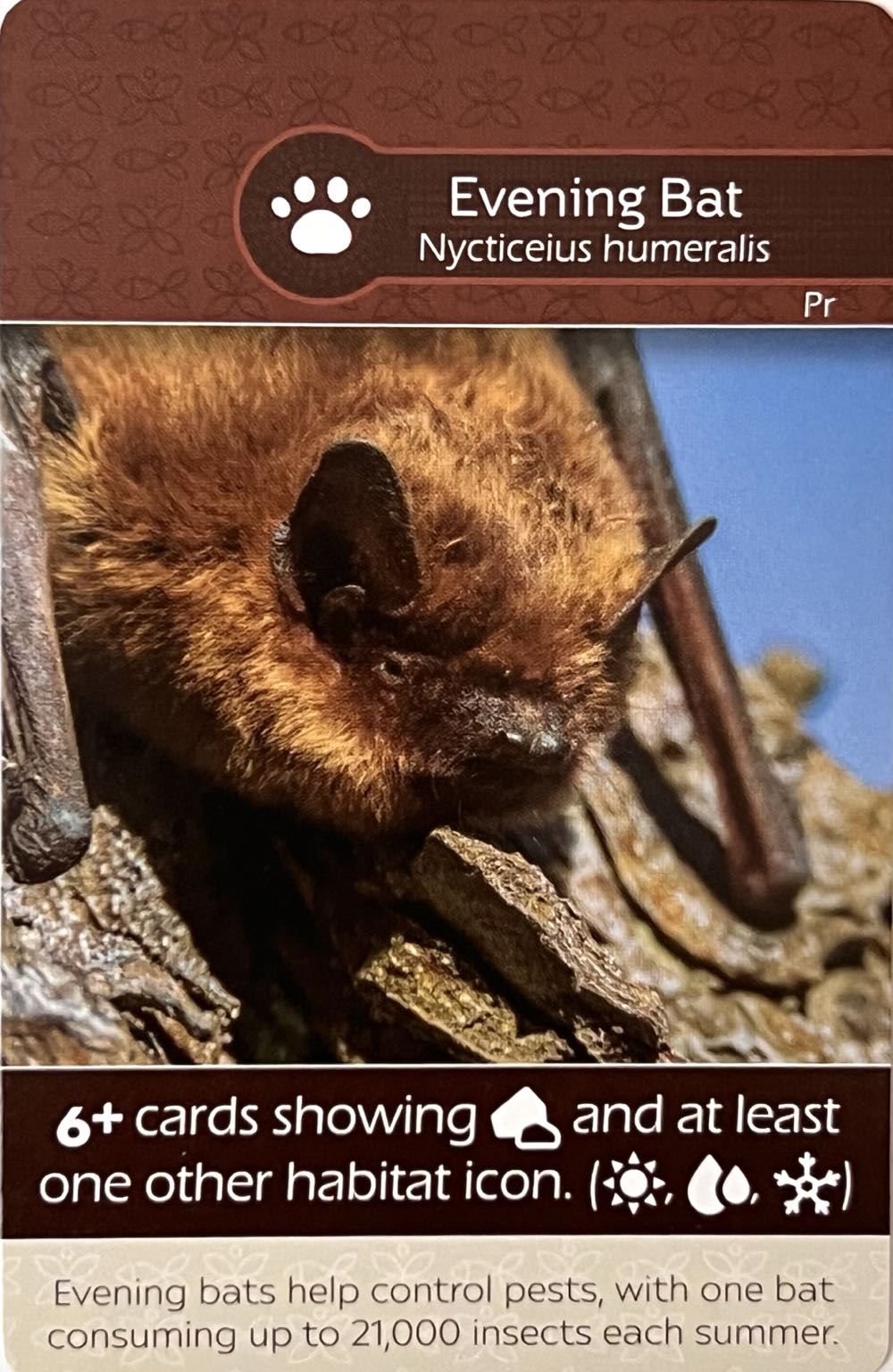 Star Wars Tcg: Booster