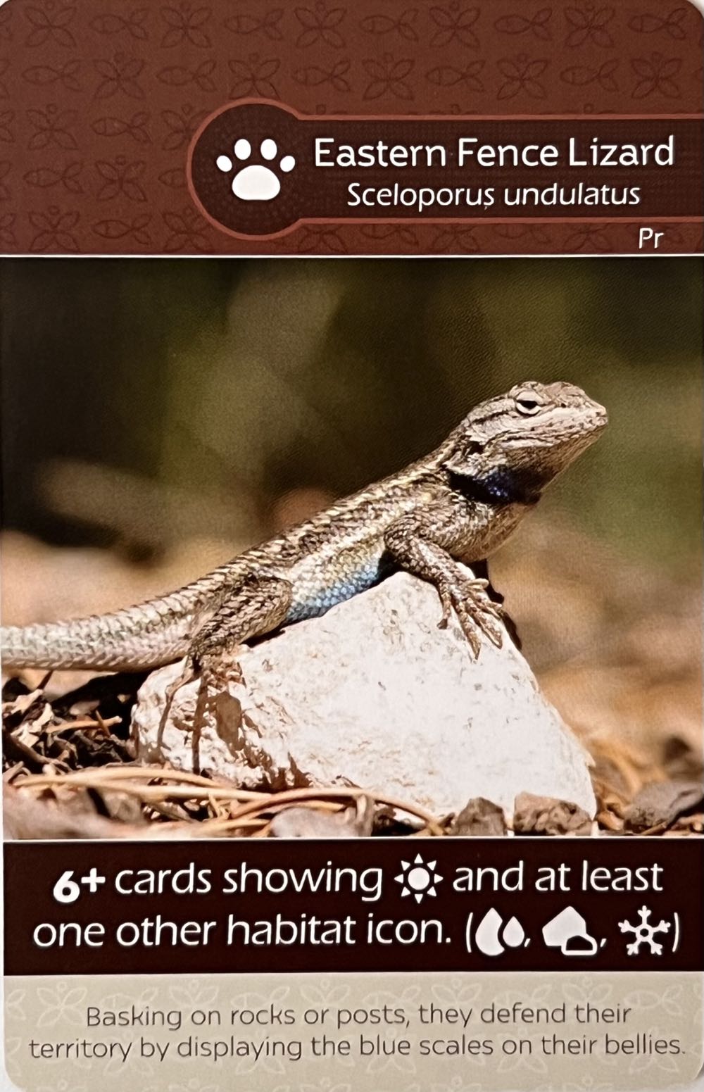 Earth: Evening Bat / Eastern Fence Lizard  board game collectible - Main Image 2