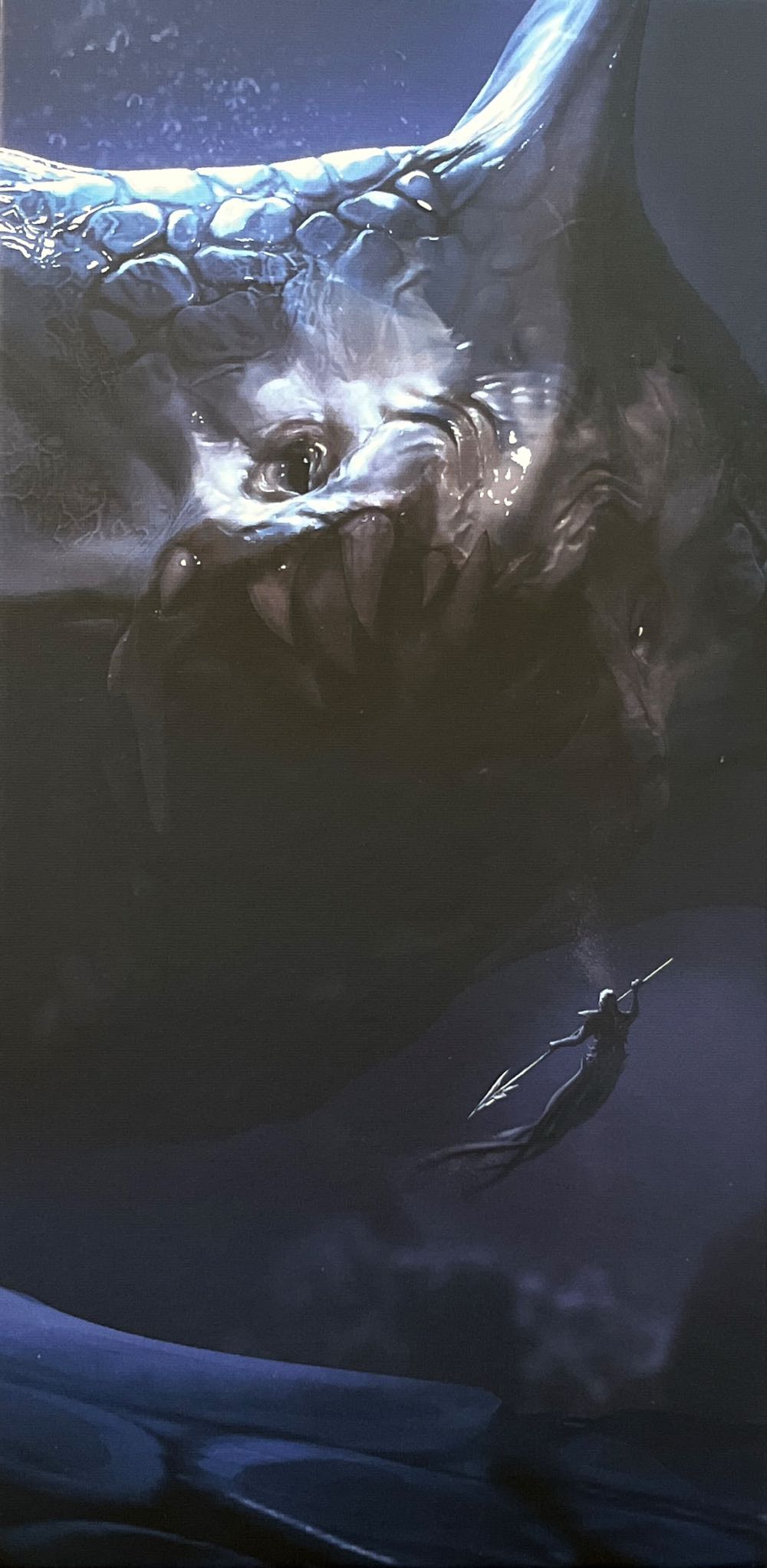 Dragon & Unicorn Collector