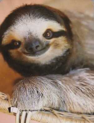 GI Joe Retro Collection DUKE Walmart Exclusive Hasbro 3.75” Inch Action Figure