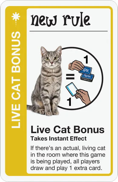 Cat Fluxx  (1 2 3 4 5 6) board game collectible [Barcode 850023181343] - Main Image 4