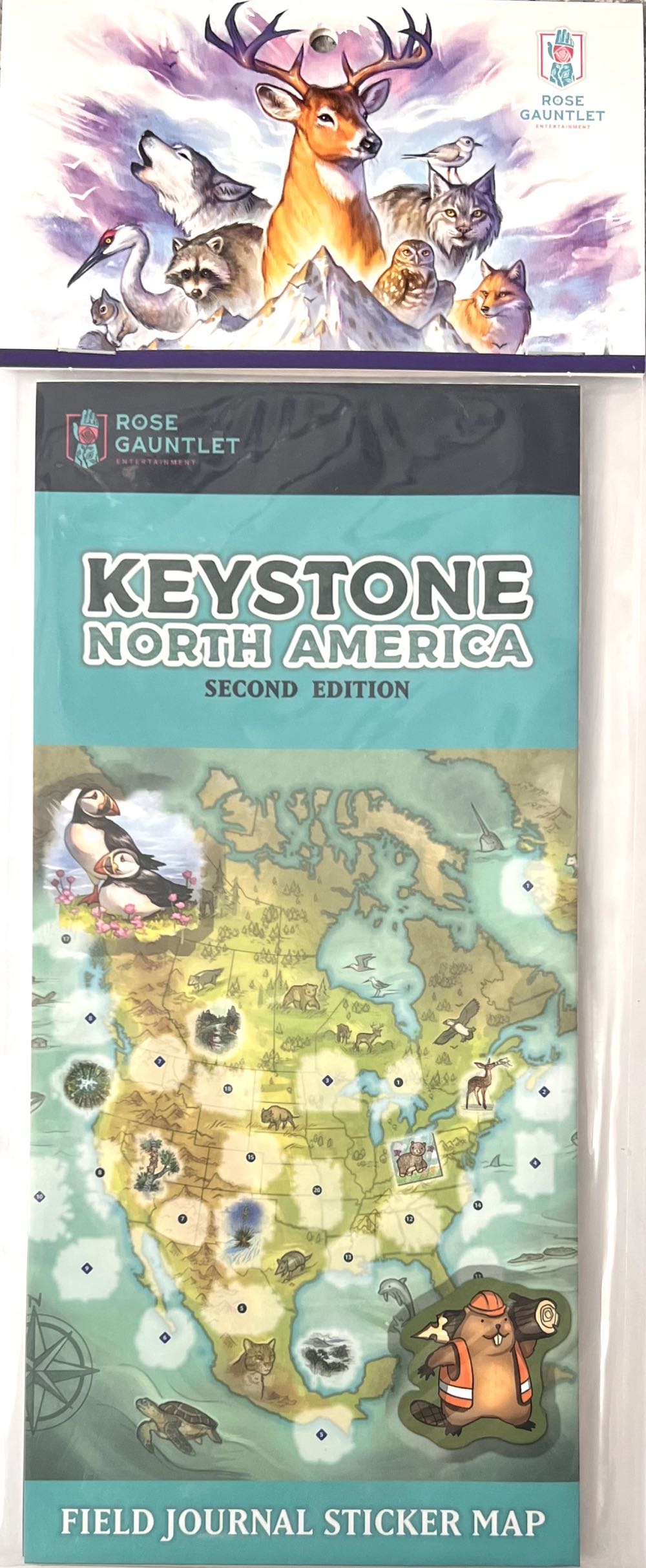 Madeleine Stamer Playing Cards