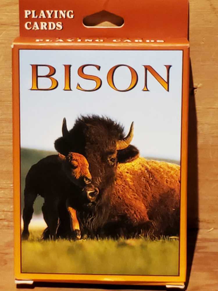 Munchkin 9 : Jurassique Farce Extension Jeux De Société