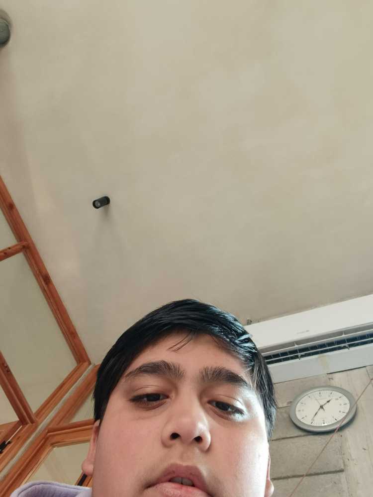 From Up On Poppy Hill コクリコ坂から