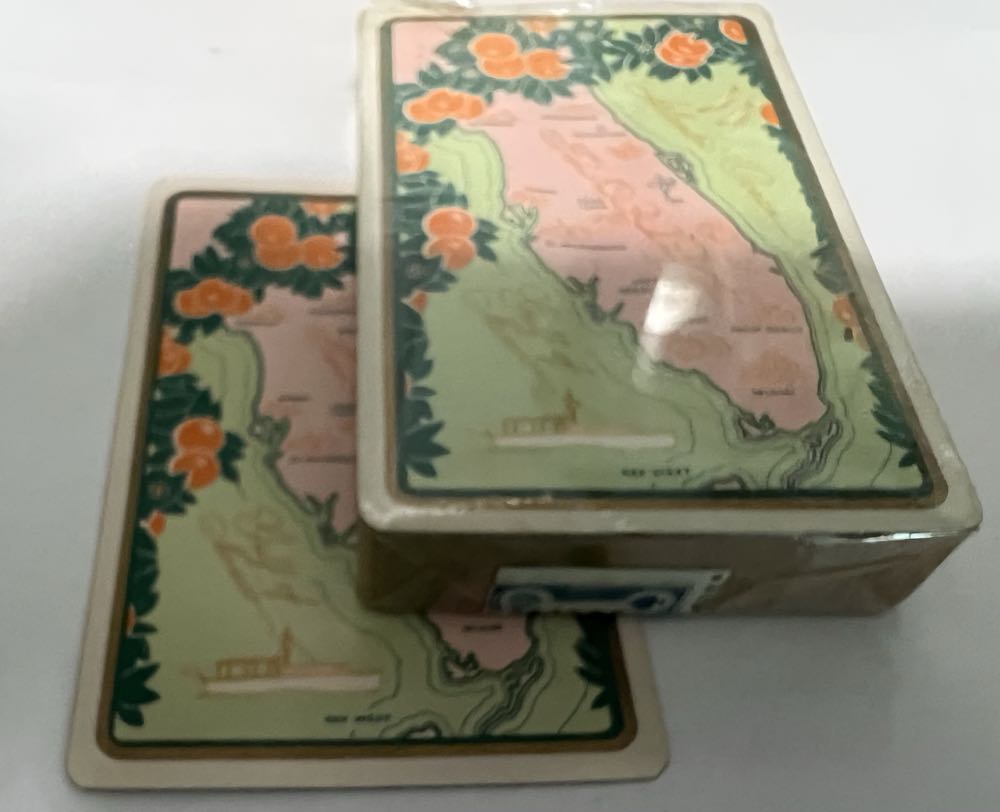 Fairlawn Florida Map Playing Cards Double Deck  board game collectible - Main Image 2