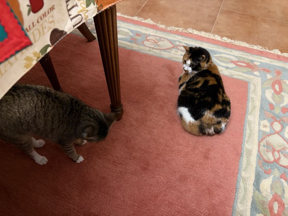 Core Space Yamato Crew Expansion English