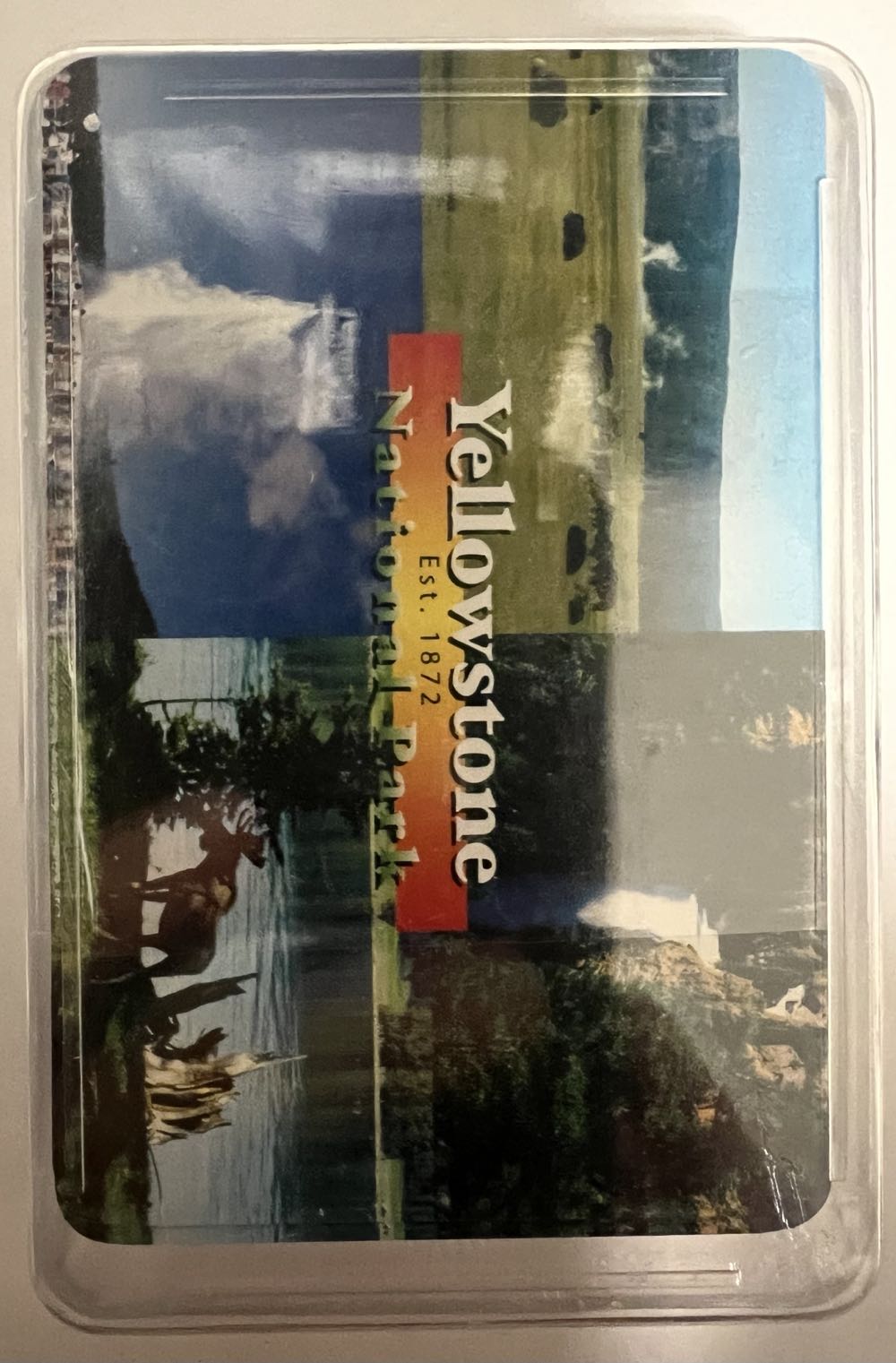 Funny-Bunny Bedtime Stories