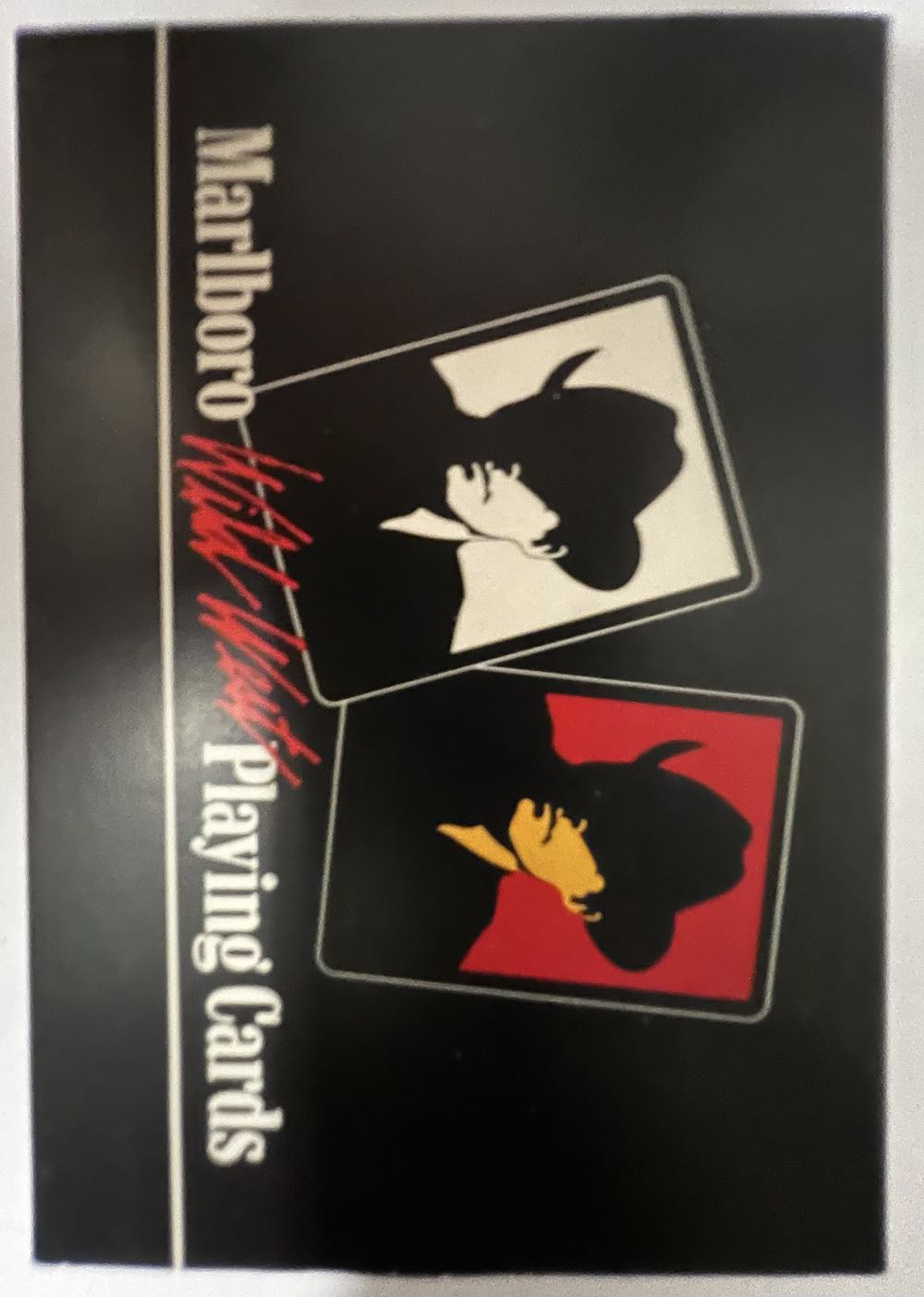 Turista En Disneylandia