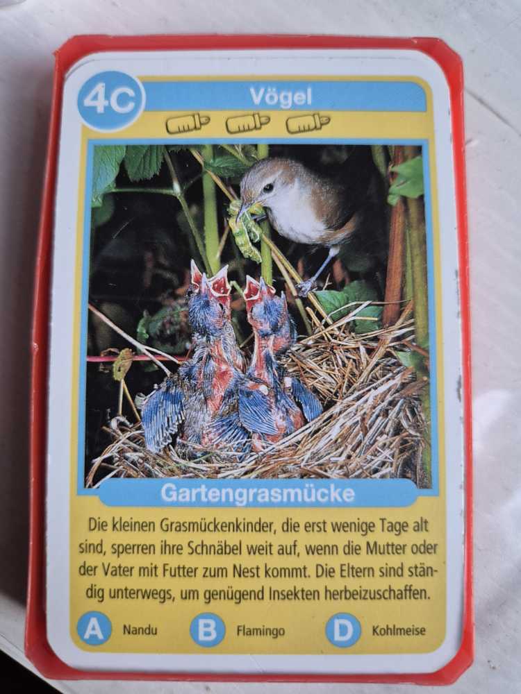 Game Mindbug: Evolution Supreme Fr