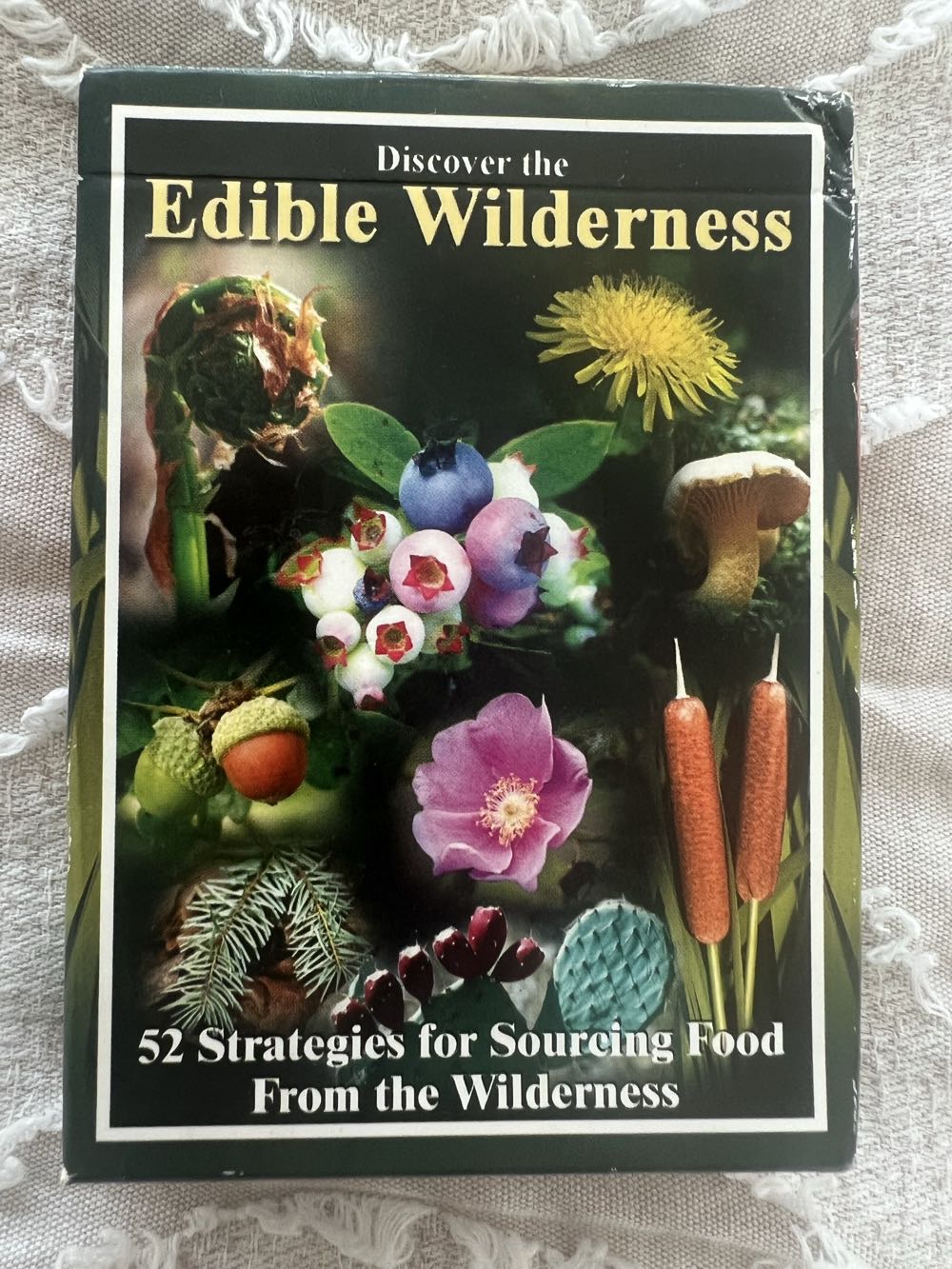 Point Games Color Race Game – 2-player Speed Race For Kids And Adults – Shake Slide And Match Brain-teaser Puzzle Game – Fun Speed-solving Travel Board Games