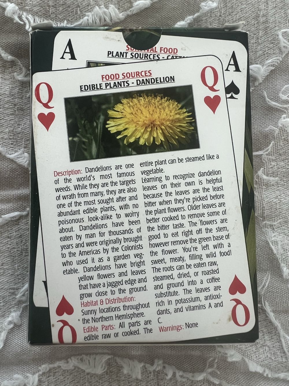 Discover The Edible Wilderness Playing Cards  board game collectible - Main Image 2