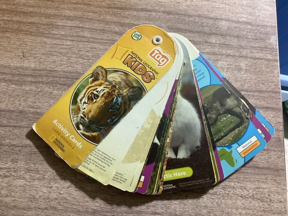 Crazier Eights Camelot