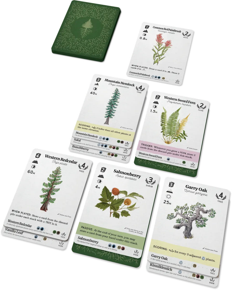 Reforest: Plants of the Pacific Northwest  (1 2 3 4) board game collectible [Barcode 628942772085] - Main Image 3
