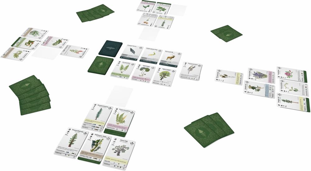 Reforest: Plants of the Pacific Northwest  (1 2 3 4) board game collectible [Barcode 628942772085] - Main Image 4