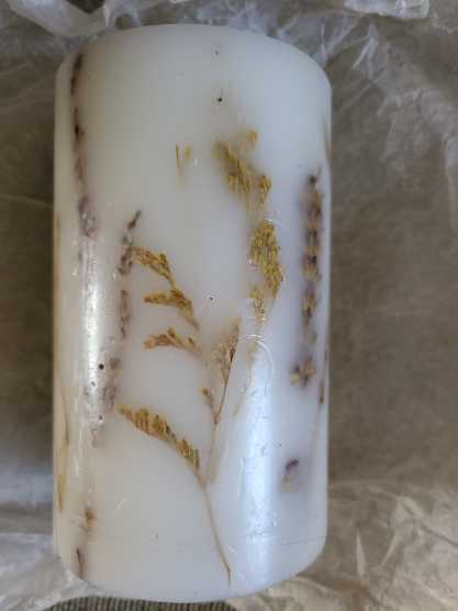 Mutagen Deluxe Edition By Dranda Games | For Aged 12 | 1-4 Players | 60-90 Minute Playing Time | Customizable Worker Placement Strategy Game In A 1920s Biopunk Universe