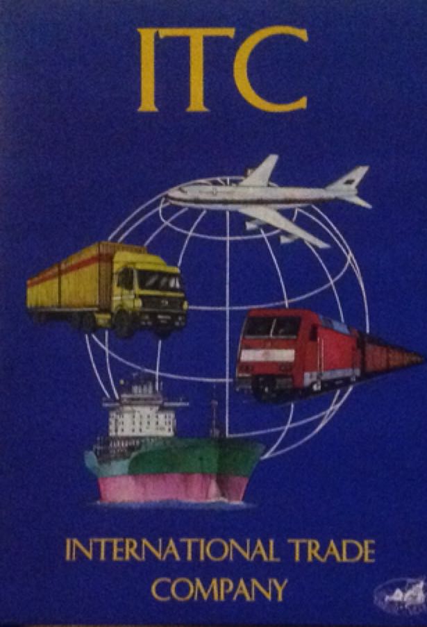 Dominoes: Minnie Bow-tique