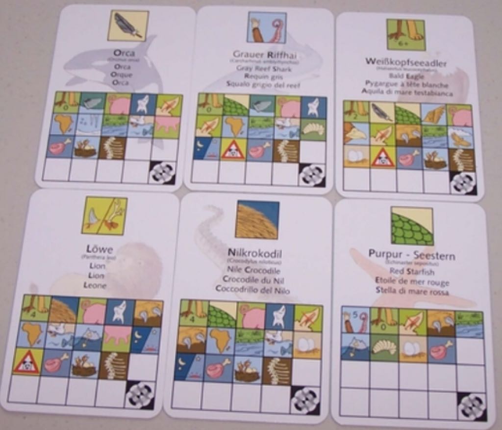 Manimals  (2-6) board game collectible - Main Image 2