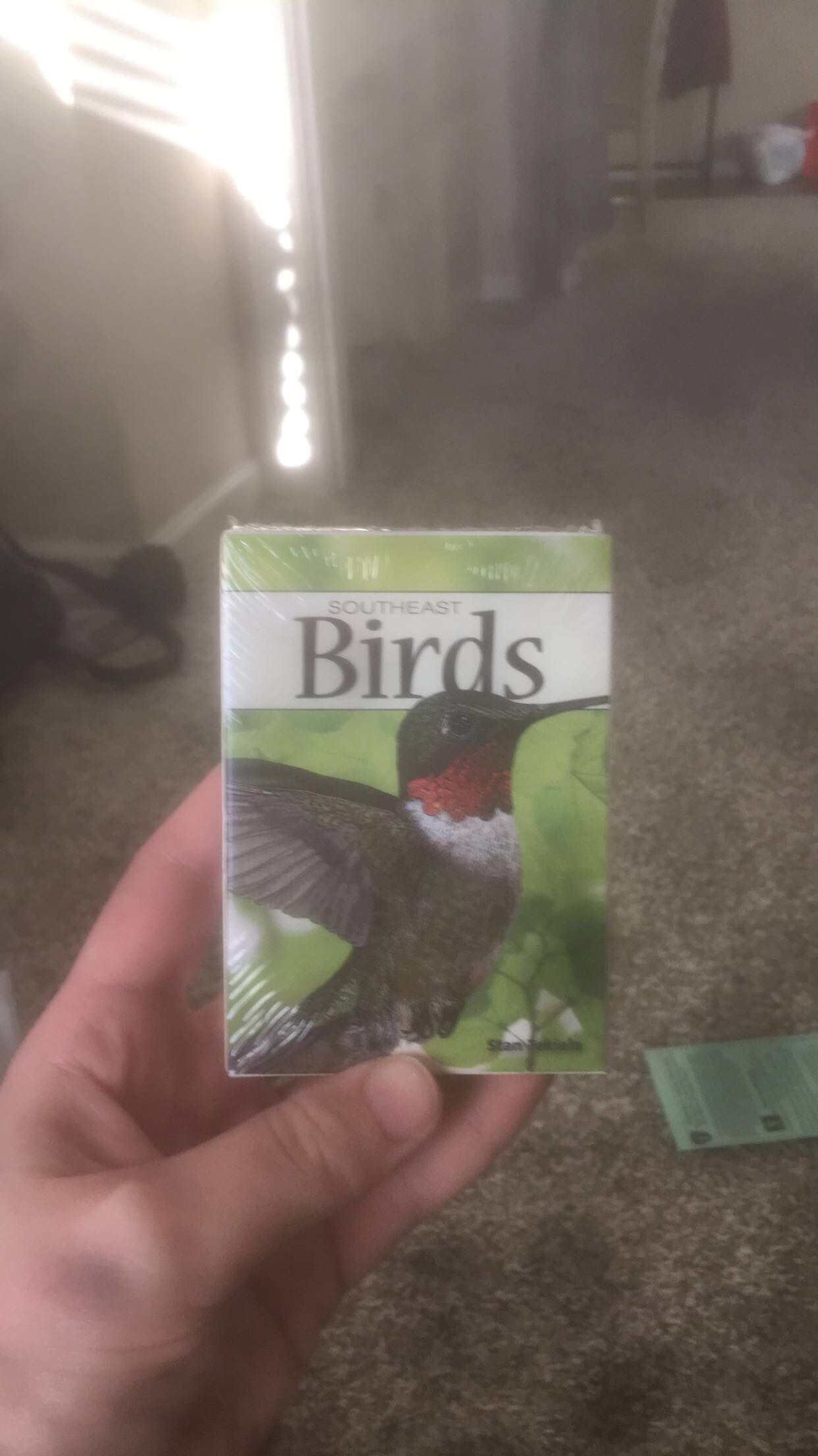 Memory Challenge: Book Lovers