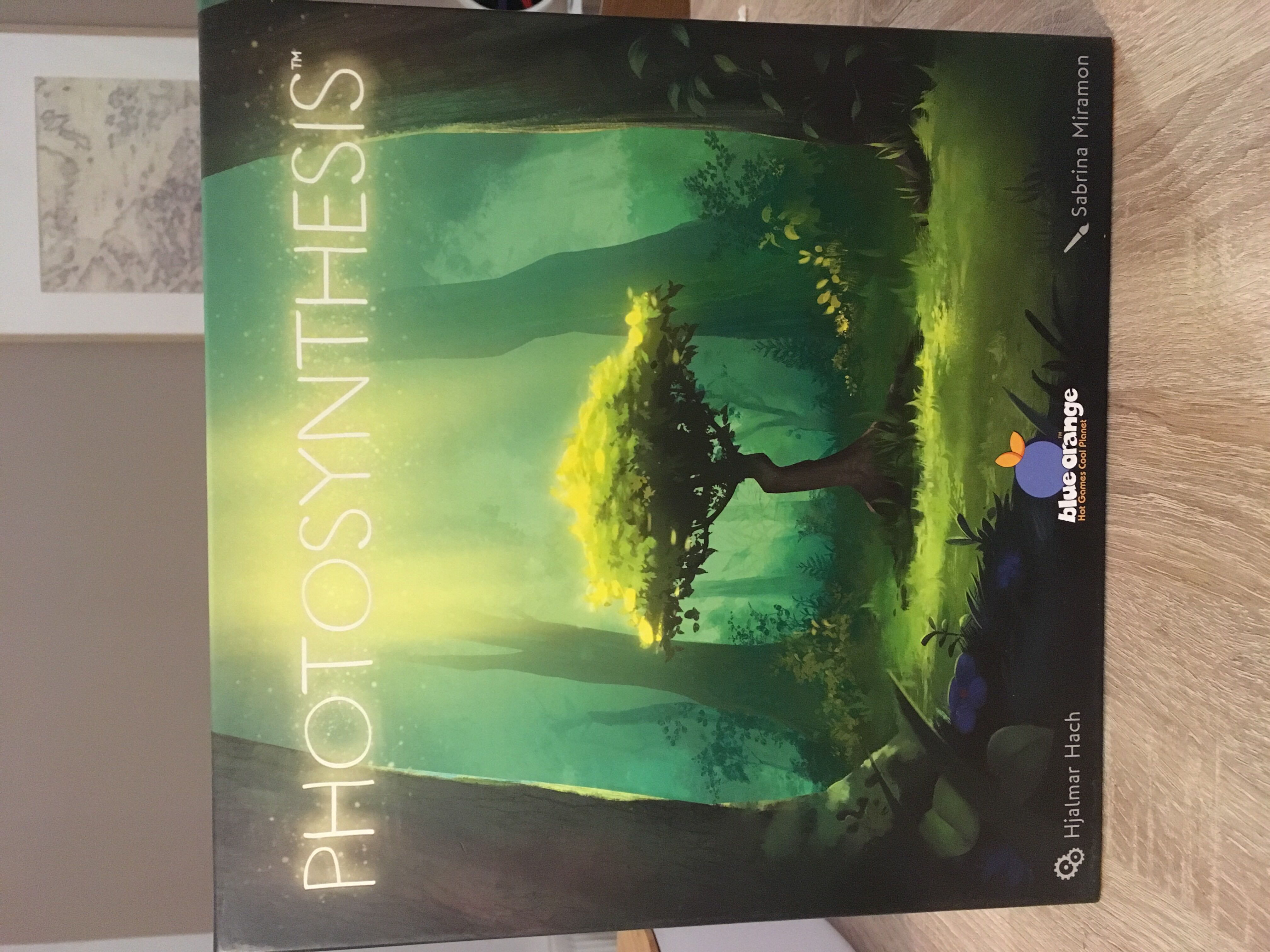 Peter Pan Playing Cards