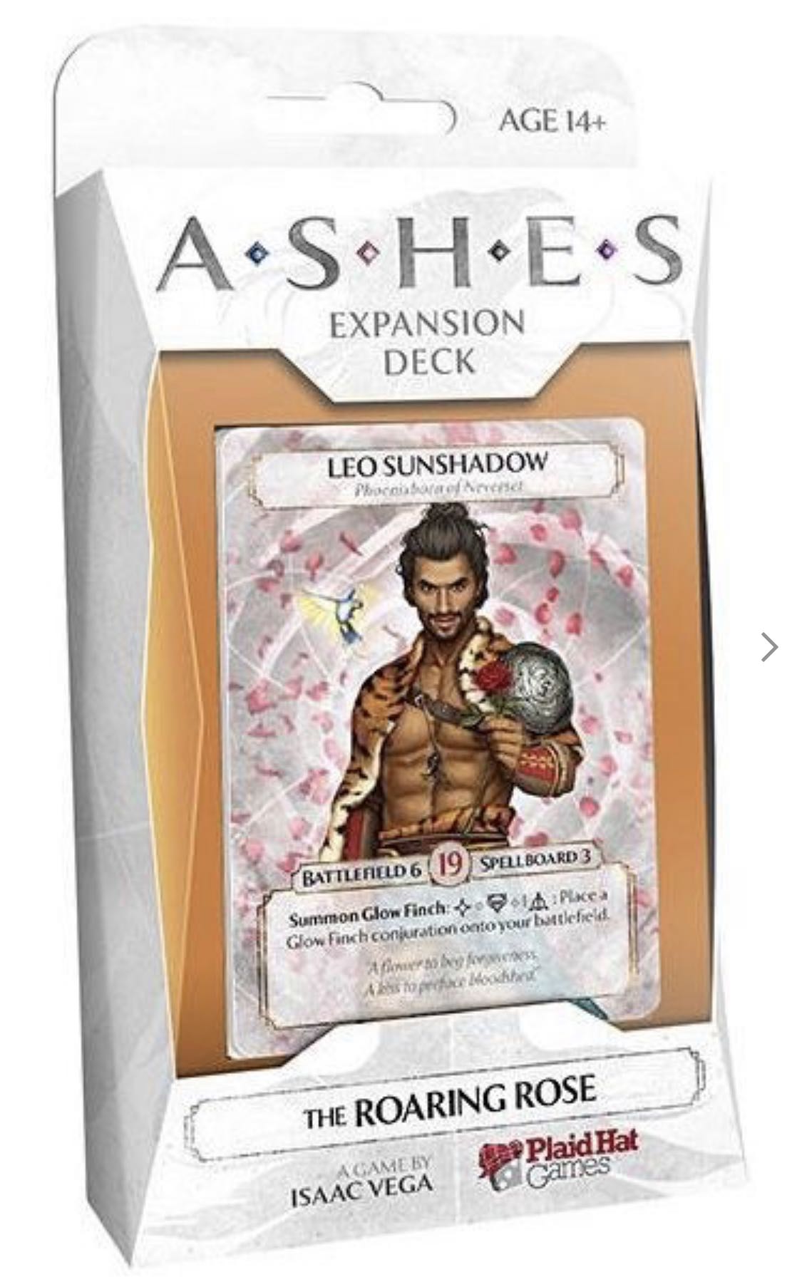 Path of Light and Shadow