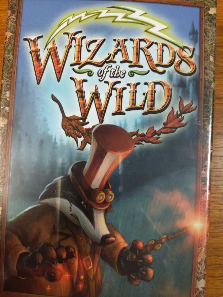 Same or Different Flash Cards