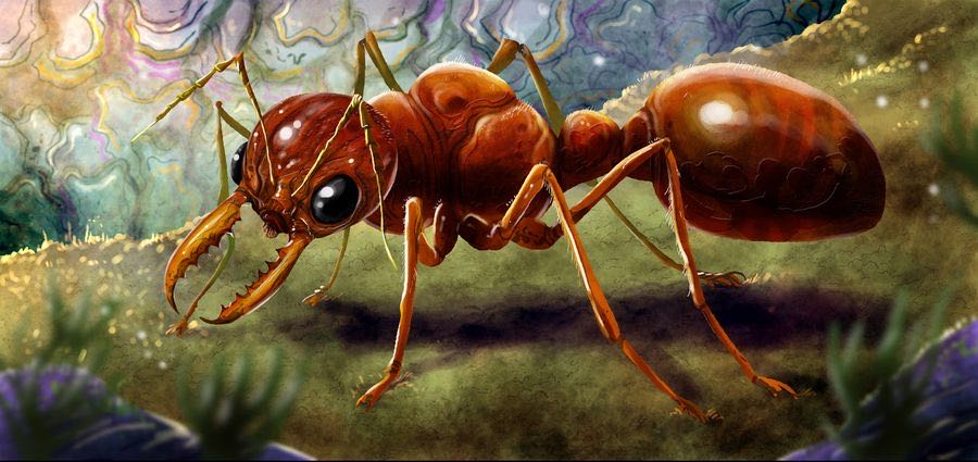 March of the Ants: Empires of the Earth  (1-5) board game collectible [Barcode 748252578754] - Main Image 3