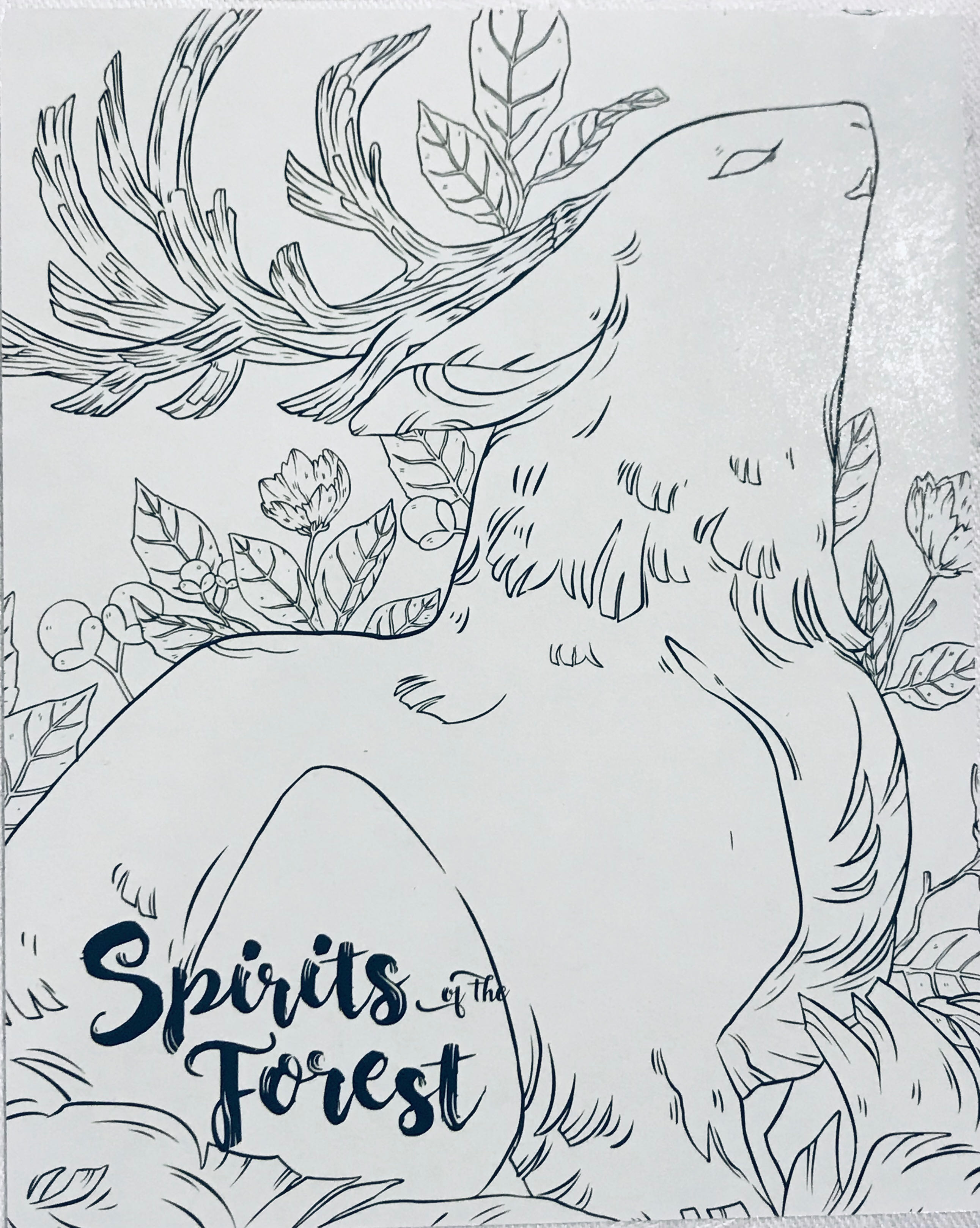 Spirits of the Forest: Dry Erase Score Board  (1-4) board game collectible [Barcode 602573705001] - Main Image 1