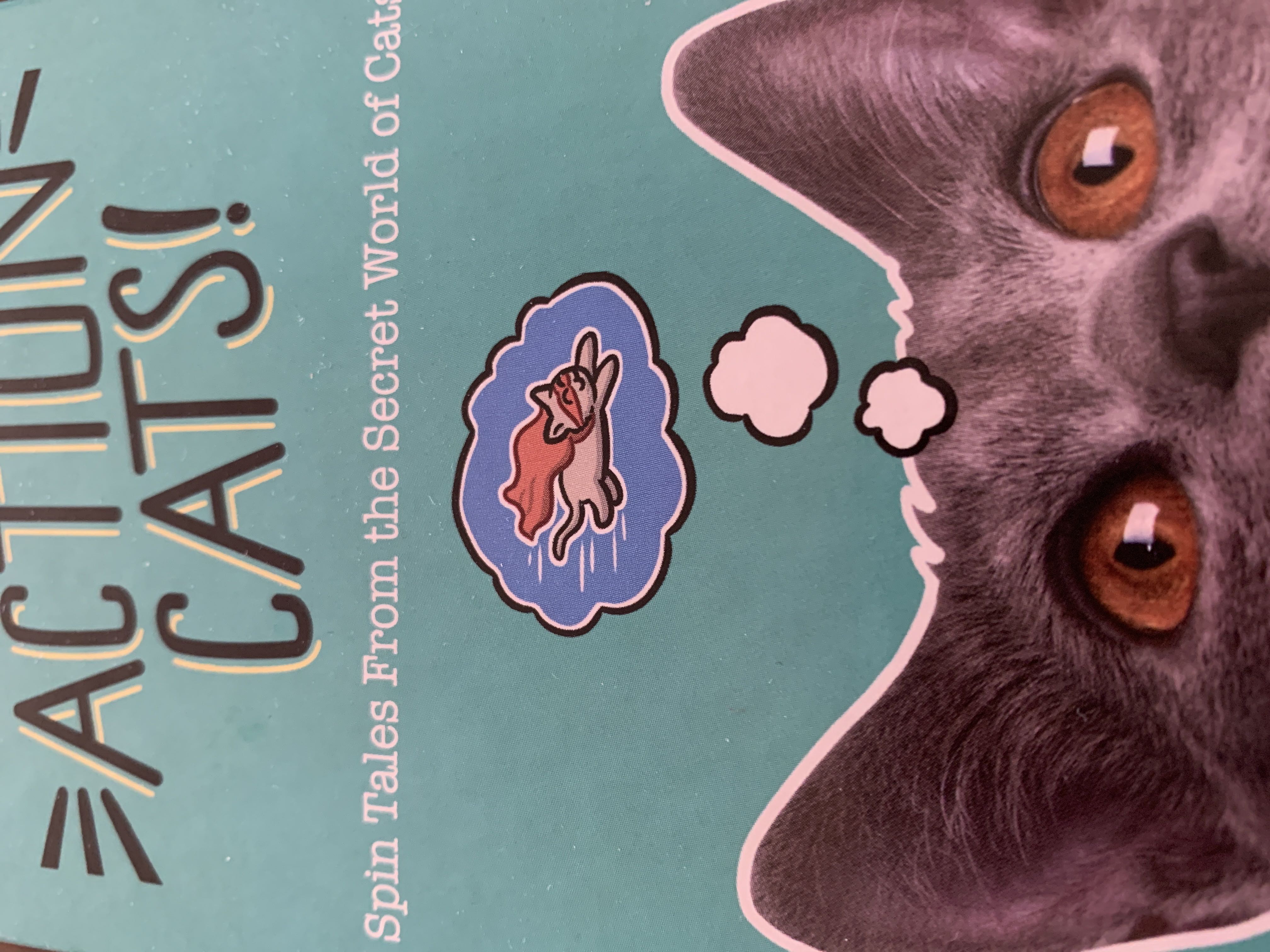 Action Cats  (3-6) board game collectible - Main Image 1