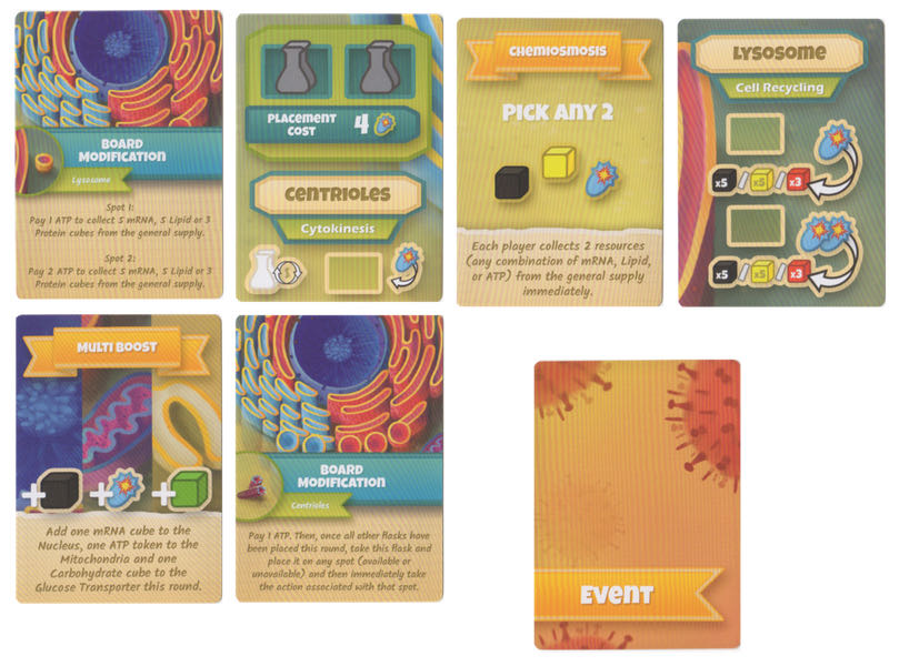 Color Connect Flash Cards