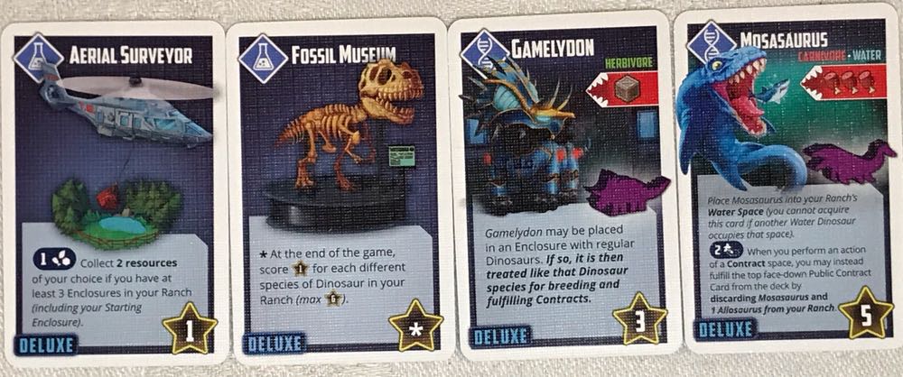 Tiny Epic Dinosaurs: Laboratory  (1-4) board game collectible - Main Image 4