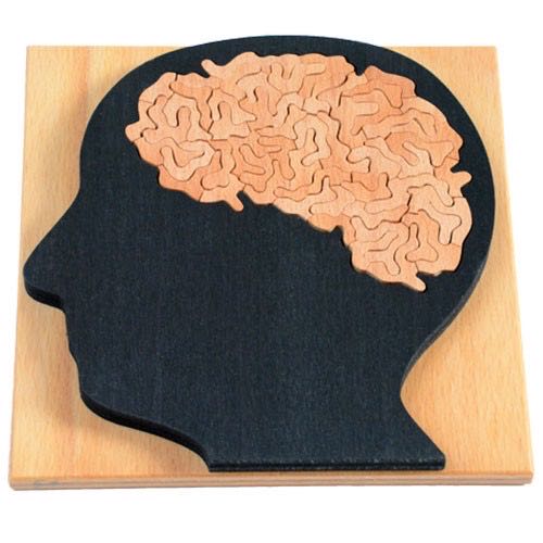 Protect The Pride Lands