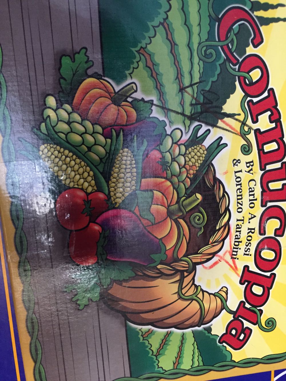 San Francisco 49ers Trivia Game 