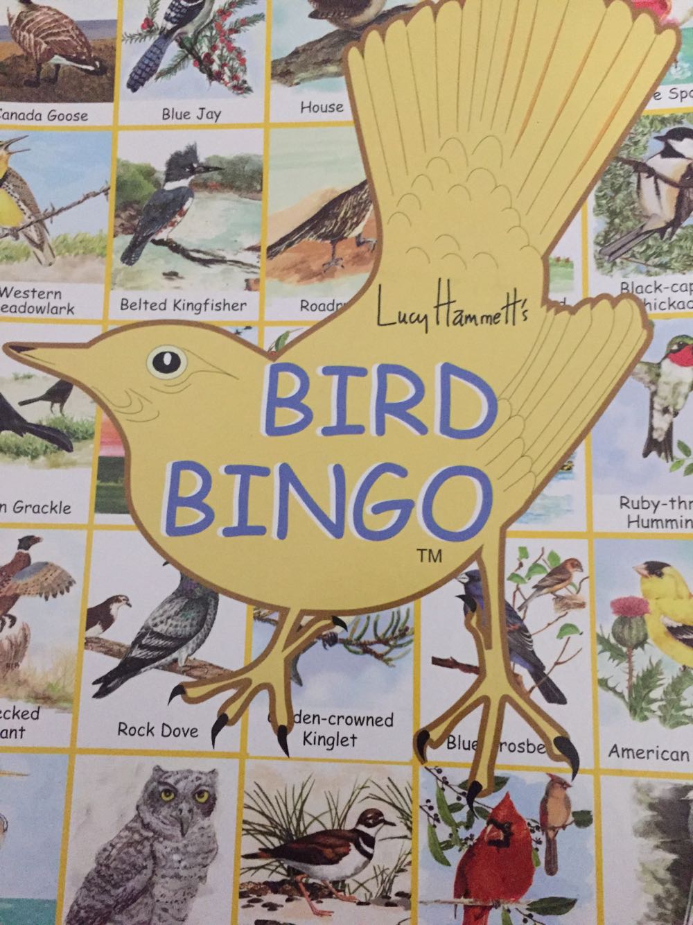 Crossing: Point Grab & Steal Asmodee Family Games