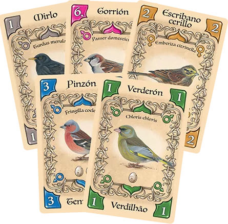 Piepmatz  (2-4) board game collectible [Barcode 4260402310985] - Main Image 3