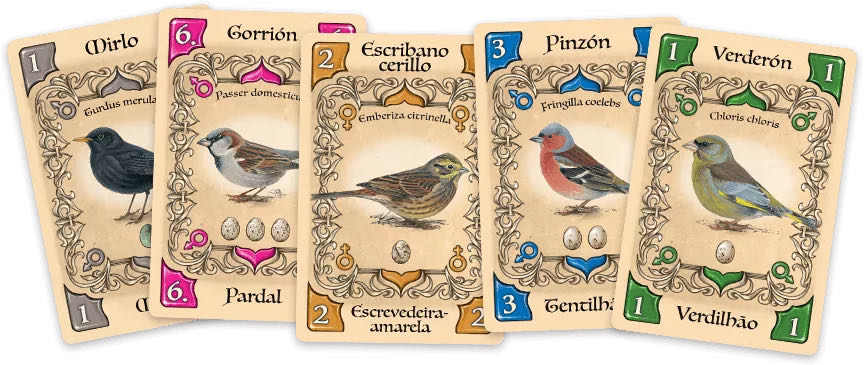 Piepmatz  (2-4) board game collectible [Barcode 4260402310985] - Main Image 4