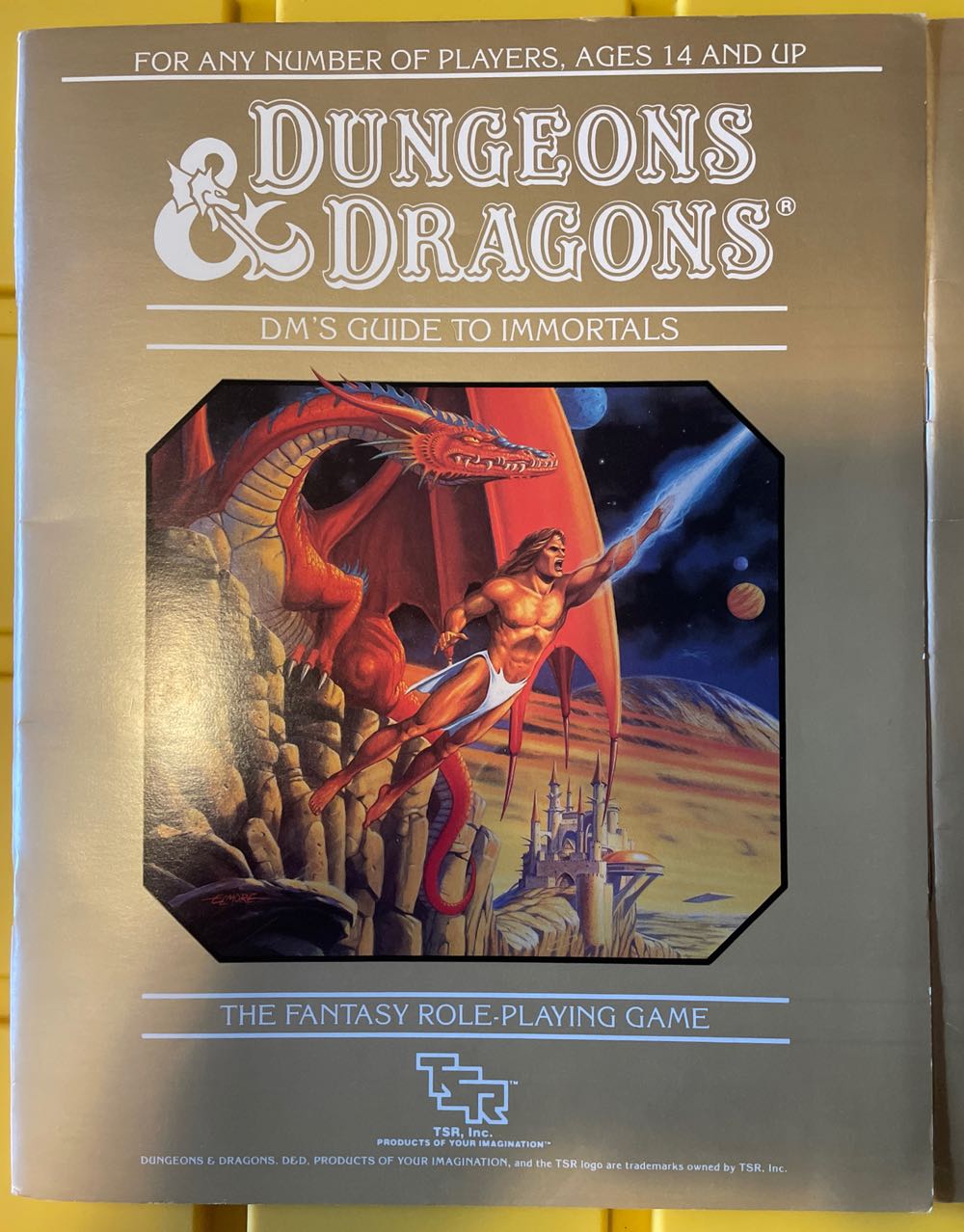 Dungeons & Dragons Immortals  board game collectible - Main Image 1