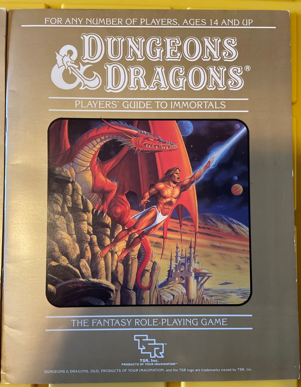 Dungeons & Dragons Immortals  board game collectible - Main Image 2