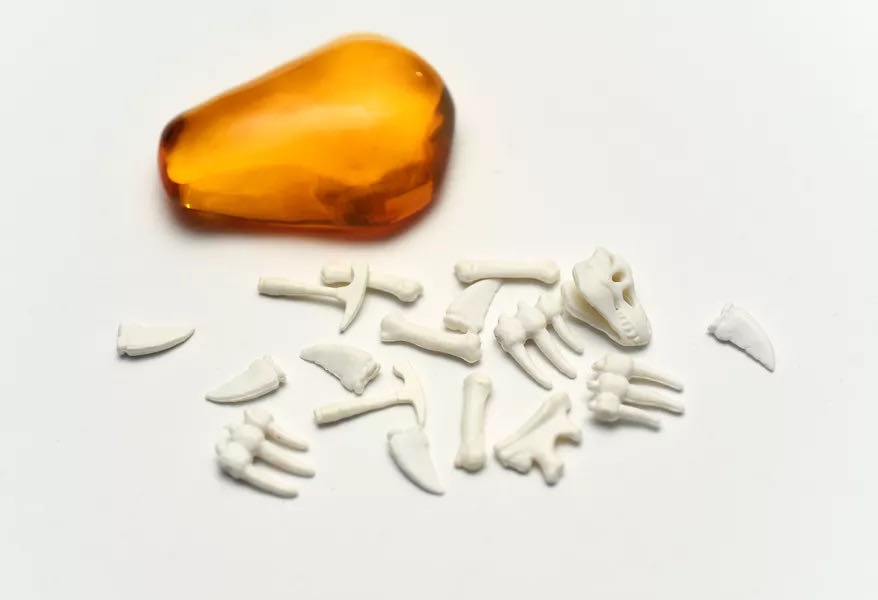 Fossilis  (2-5) board game collectible [Barcode 782150647327] - Main Image 4